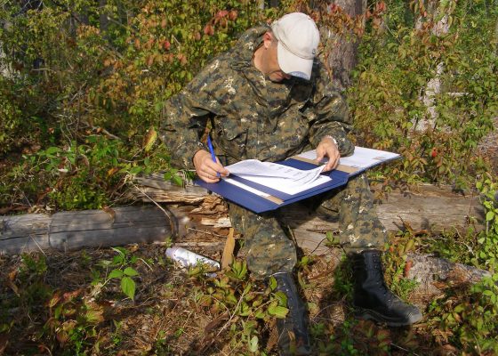 Оформление результатов рекогносцировочного лесопатологического обследования