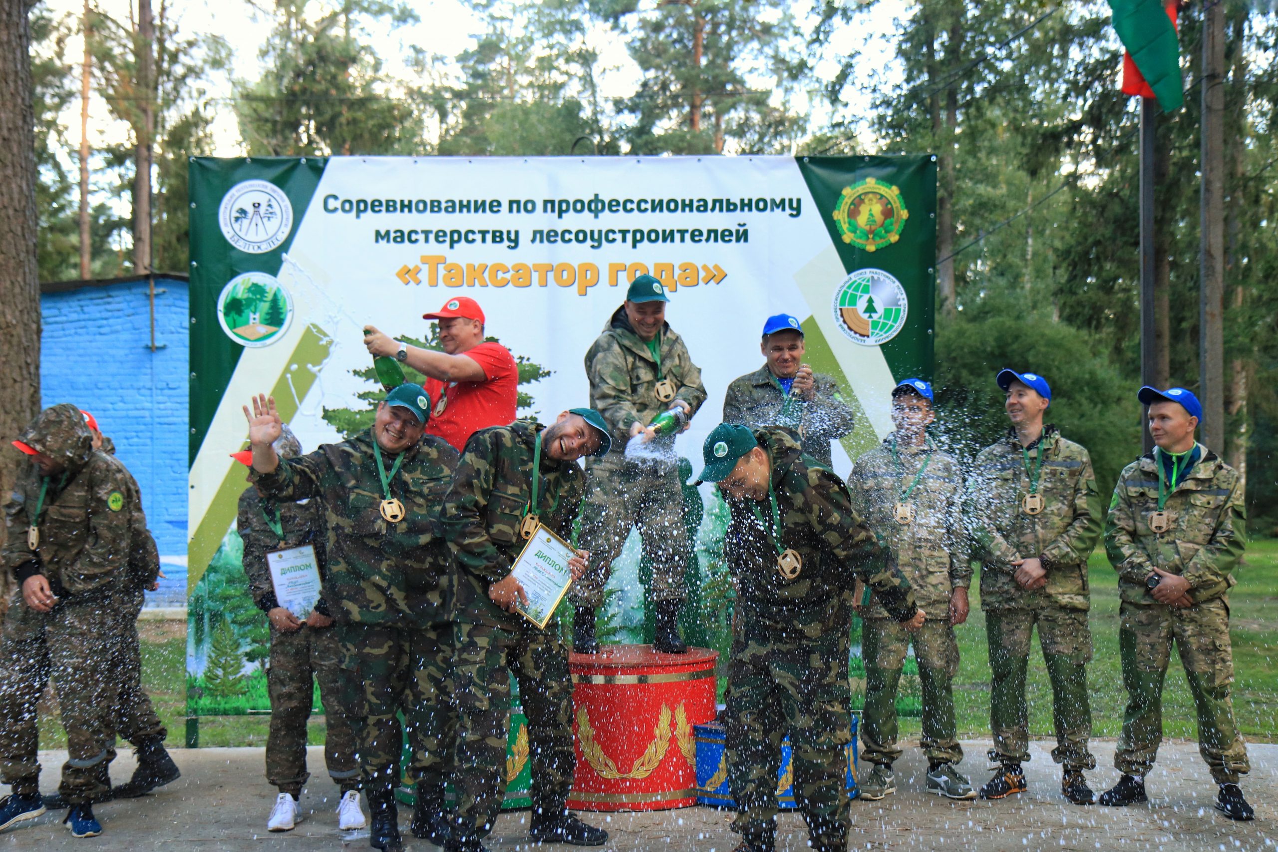 таксатор года 6