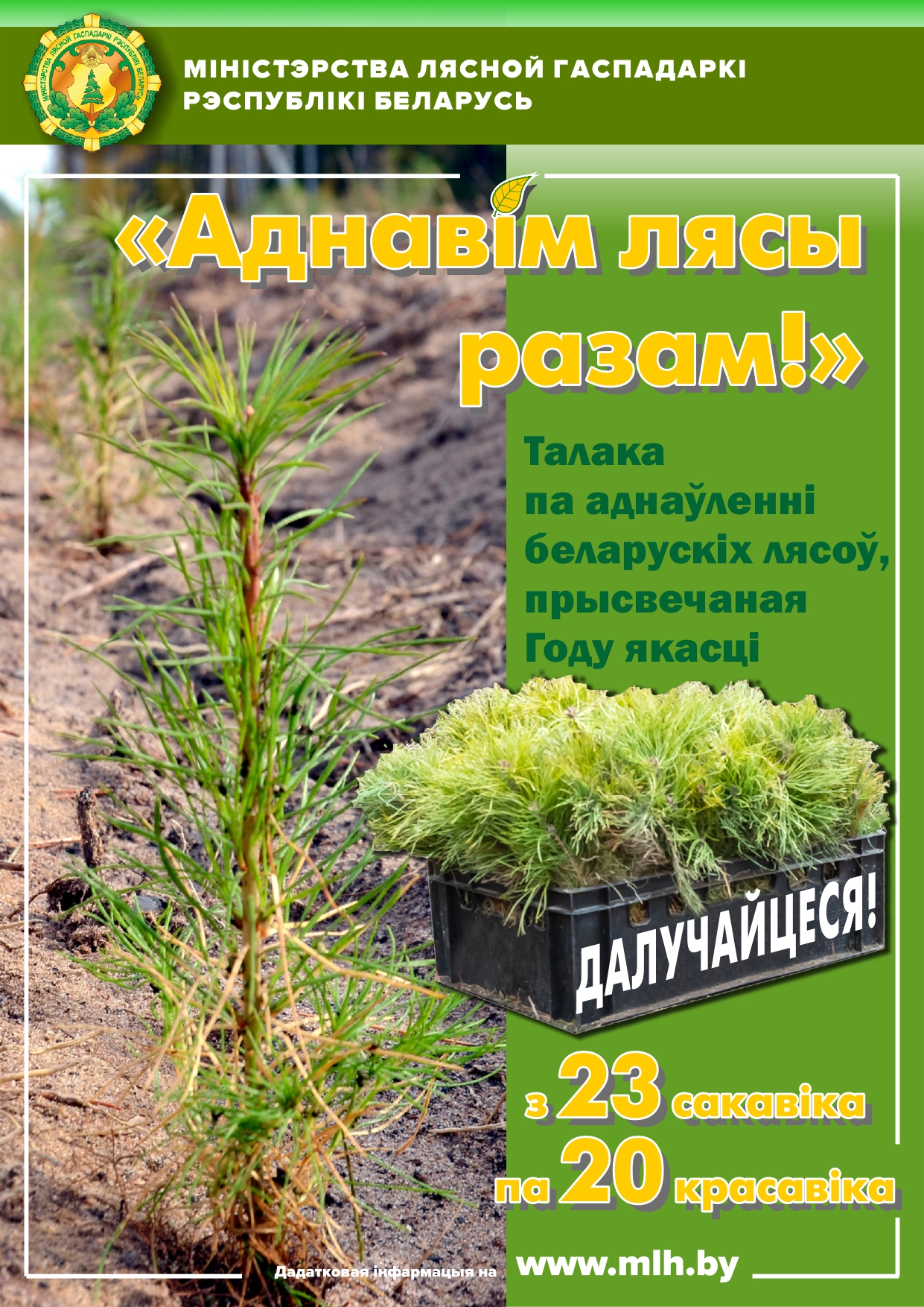 2 2024 - Аднавім лясы разам - листовка А4_page-0001
