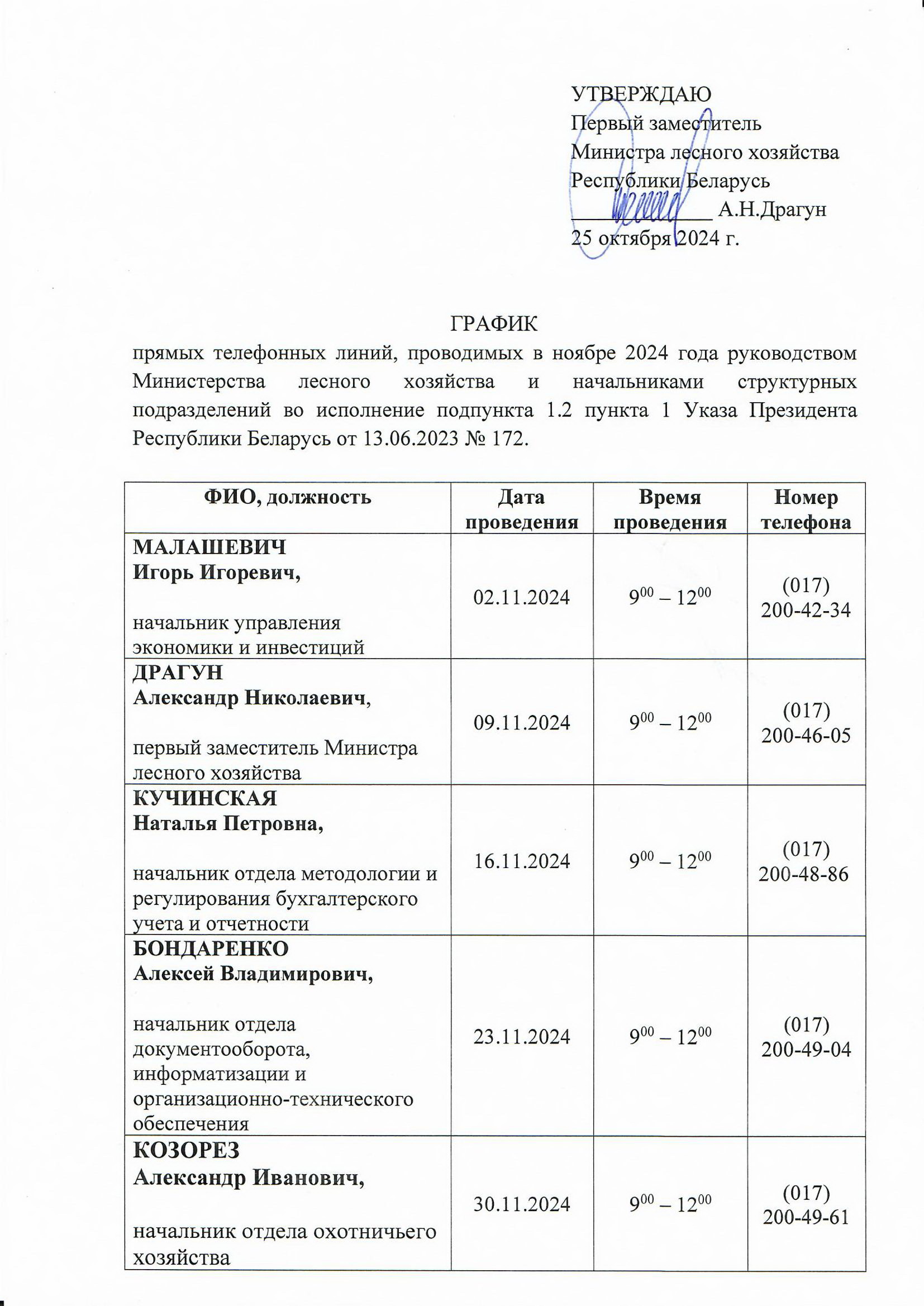 НОЯБРЬ ПРЯМЫЕ ЛИНИИ
